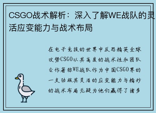 CSGO战术解析：深入了解WE战队的灵活应变能力与战术布局